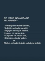85BA22FB-1742-4D90-8934-1D758D781F20.jpeg