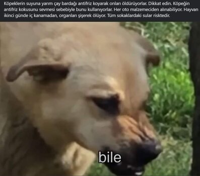 FB_IMG_1721609141473.jpg