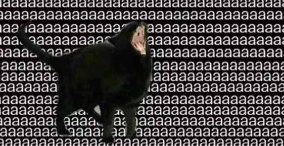 1722167175844.png