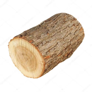 IMG_2529.png