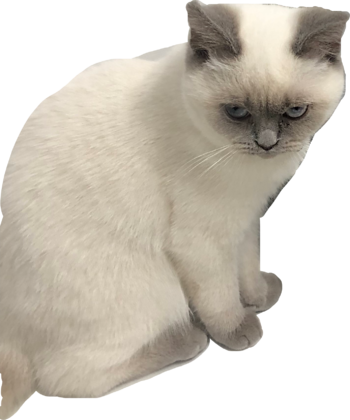 B087CD41-7388-4719-8A19-E026FF7E6A18.png B087CD41-7388-4719-8A19-E026FF7E6A18.png