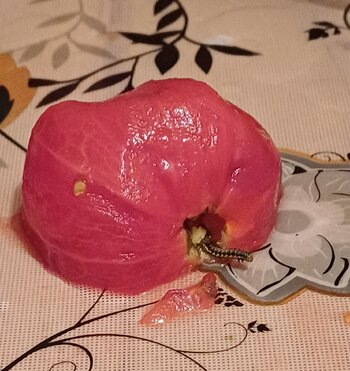 20240825_212703.jpg