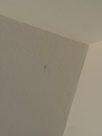 IMG_9703.jpeg IMG_9703.jpeg