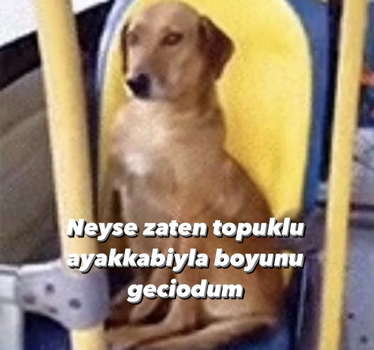 1727538402257.png