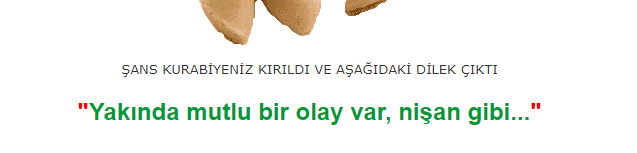 1727853844557.png