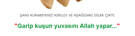 1729683934187.png