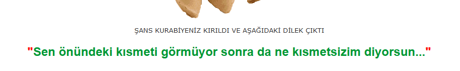 1731573368032.png