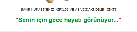 1734514412008.png