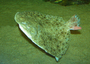 IMG_1514.jpeg IMG_1514.jpeg