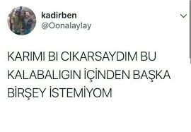 images (18).jpeg