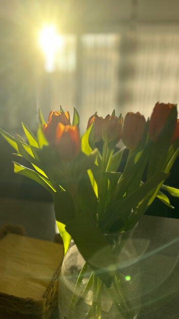 A8D87F96-24A8-4721-9D6D-972D28CBDF87.jpeg