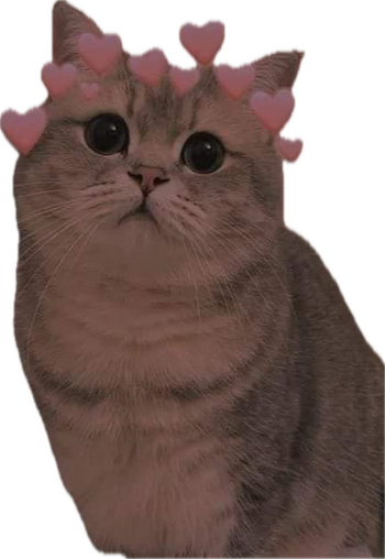 1739372434075.png 1739372434075.png