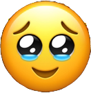 1739894926462.png