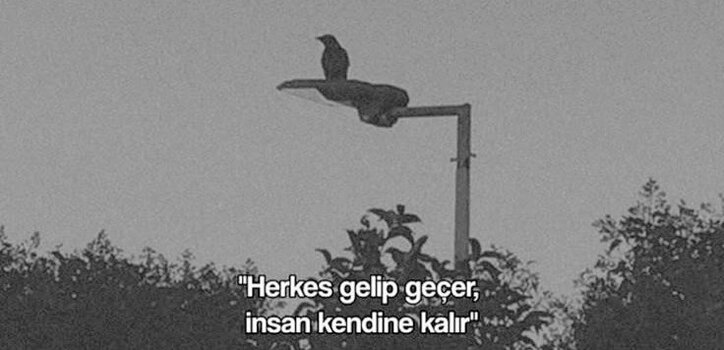 20250220_211420.jpg