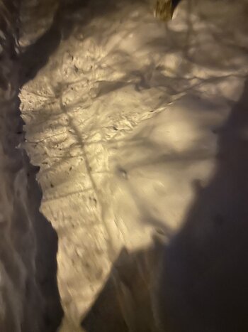IMG_3230.jpeg