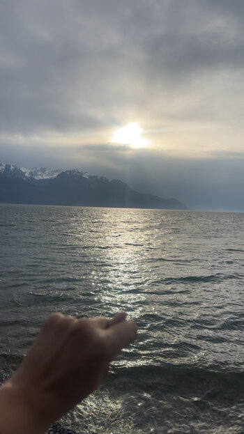 IMG_4730.jpeg IMG_4730.jpeg