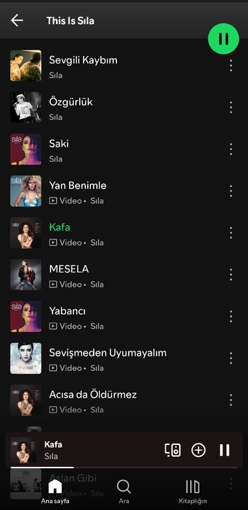 Screenshot_20250324_115328_Spotify.jpg