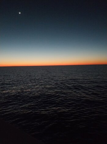 20250331_200315.jpg