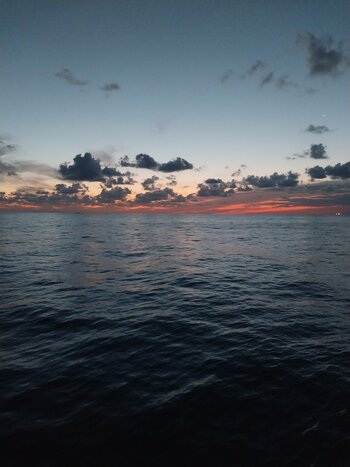 20250413_050650.jpg