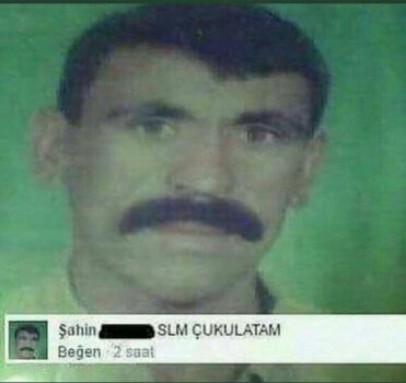 IMG_6978.jpeg IMG_6978.jpeg