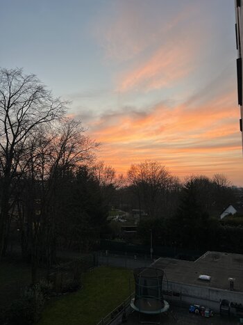 IMG_5017.jpeg IMG_5017.jpeg