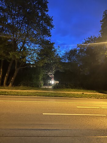 IMG_5396.jpeg IMG_5396.jpeg