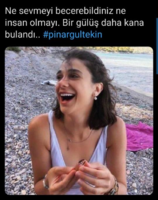 1595397103182.png 1595397103182.png