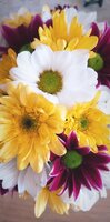 IMG_20200722_143919_333.jpg