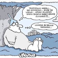 images (11).jpeg