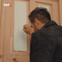 1000008784.gif 1000008784.gif