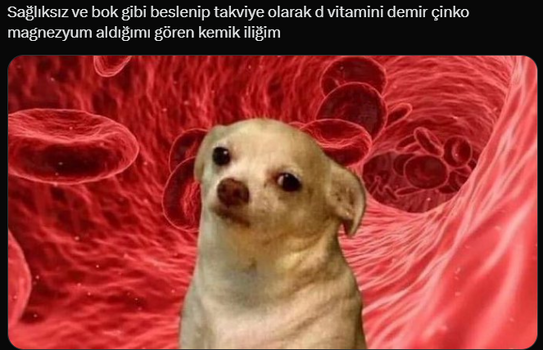 1745104495572.png