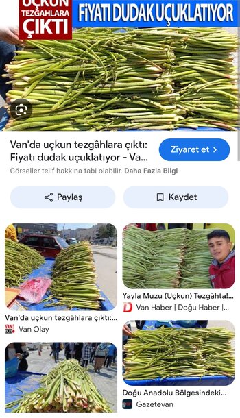 Screenshot_2025-05-07-11-06-21-290_com.android.chrome-edit.jpg