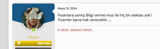 1746608772137.png