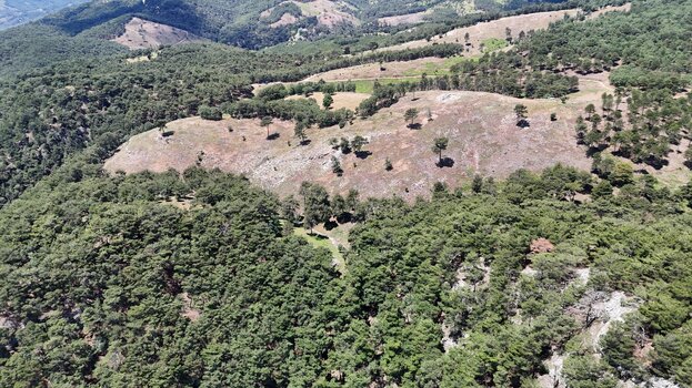 AW463150_02.jpg AW463150_02.jpg
