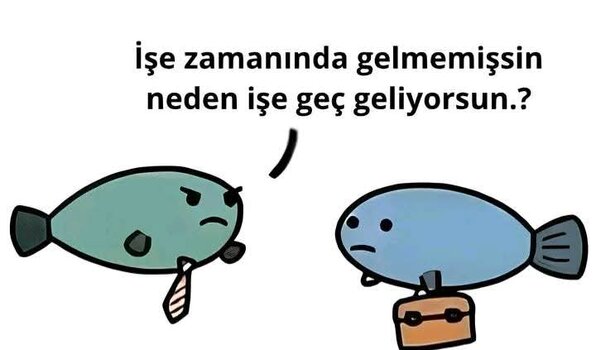 FB_IMG_1749382993458.jpg