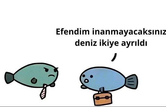 FB_IMG_1749382998961.jpg