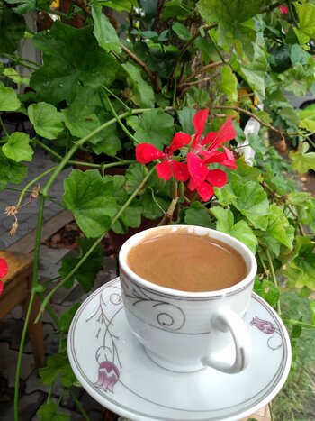 FB_IMG_1749309321000.jpg