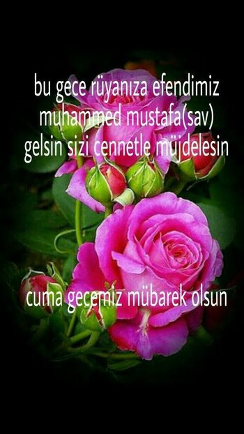f53802d3fb22ae217973b46685944ecc.jpg