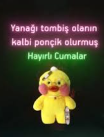1752217299079.png
