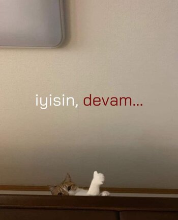 indir.jpg