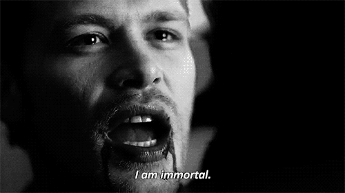 tumblr_mlxqjgkEv71rwuylqo1_500.gif