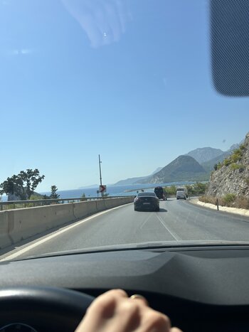 IMG_1764.jpeg IMG_1764.jpeg