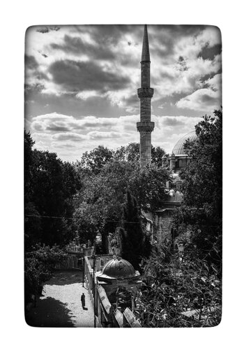 _DSC0953.jpeg _DSC0953.jpeg