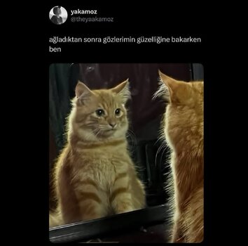Screenshot_2025-09-17-14-36-33-614_com.instagram.android-edit.jpg