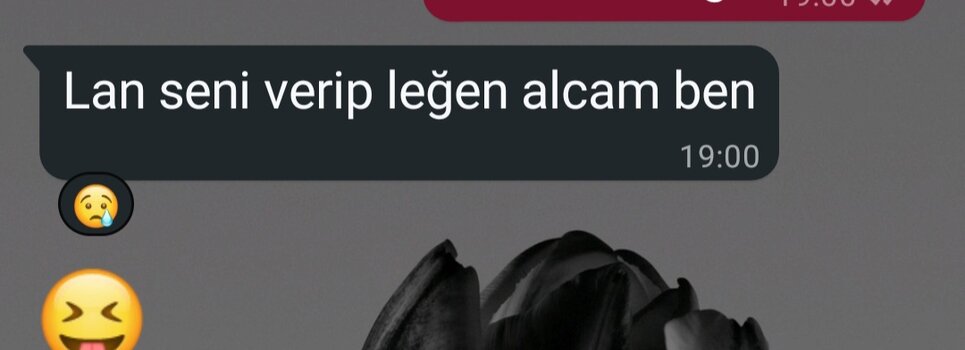 Screenshot_20250927_133211_WhatsApp.jpg