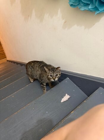 Upstairs plz.jpg Upstairs plz.jpg