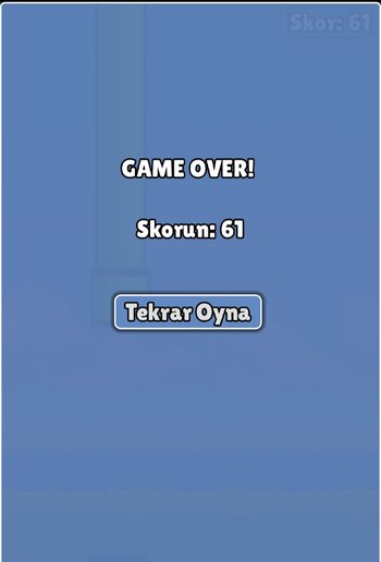Screenshot_20251123_131026_Flappy Ebru.jpg Screenshot_20251123_131026_Flappy Ebru.jpg