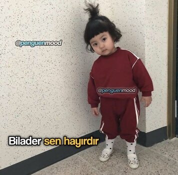 IMG_1161.jpeg