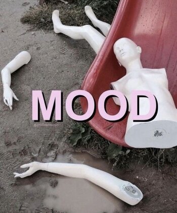 IMG_3158.jpeg