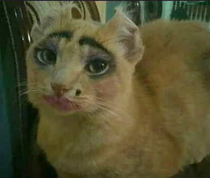 1764942814063.png 1764942814063.png
